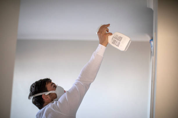 Best Office Mold Removal Services  in Huntertown, IN