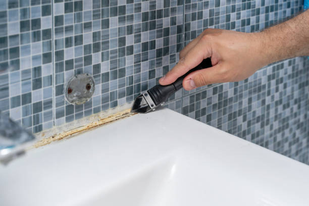 Best Residential Mold Removal  in Huntertown, IN